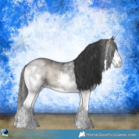 Horse Color:Blue Onyx Ice Splash 