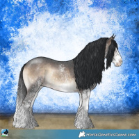 Horse Color:White Spotted Brown Onyx Splash Rabicano 