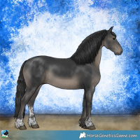 Horse Color:Black Sabino