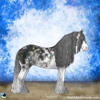 Horse Color:Midnight Blue Onyx Ice Sabino