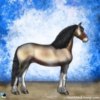 Horse Color:Brown Onyx Rabicano 