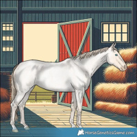 Horse Color:Perlino Roan 