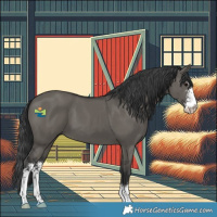 Horse Color:Grullo Sabino 