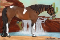 Horse Color:Buckskin Tobiano