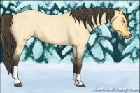 Horse Color:Buckskin Roan Dun Tobiano