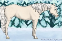 Horse Color:Cremello