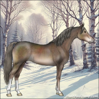 Horse Color:Liver Chestnut Mushroom 