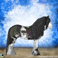 Horse Color:Midnight Blue Onyx Ice Sabino 