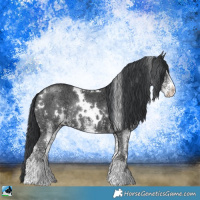 Horse Color:White Spotted Black Chinchilla Ice Rabicano 