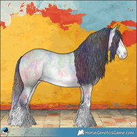 Horse Color:Nacre Brown Chinchilla Dun Sabino Rabicano
