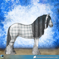 Horse Color:Plaid  Grullo Chinchilla Tobiano 
