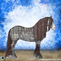 Horse Color:Plaid  Chocolate Brown Chinchilla Ice Dun Sabino Rabicano 