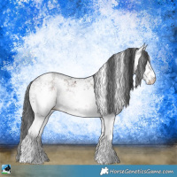 Horse Color:White Spotted Brown Ice Sabino Rabicano 
