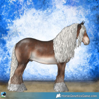 Horse Color:Liver Chestnut Mushroom Rabicano 