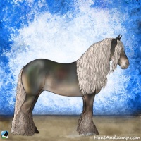 Horse Color:Liver Chestnut Mushroom Rabicano 