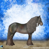 Horse Color:Liver Chestnut Mushroom Rabicano 