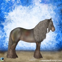 Horse Color:Liver Chestnut Mushroom Rabicano 