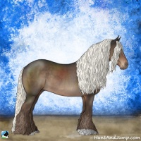 Horse Color:Liver Chestnut Mushroom Rabicano
