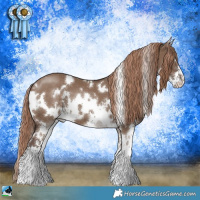 Horse Color:White Spotted Liver Red Dun Sabino 