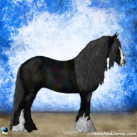 Horse Color:Midnight Black Ice Sabino