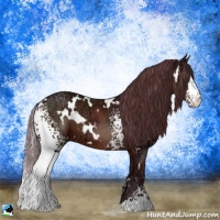 Horse Color:White Spotted Chocolate Brown Ice 