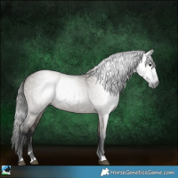 Horse Color:Gray Grullo Sabino