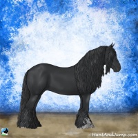 Horse Color:Black Sabino 