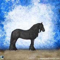 Horse Color:Black Sabino Rabicano 
