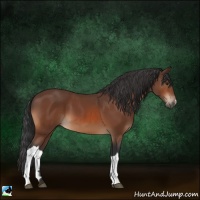 Horse Color:Brown 