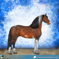 Horse Color:Brown Tobiano Frame Rabicano 