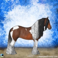 Horse Color:Bay Tobiano Rabicano
