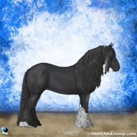 Horse Color:Black Tobiano Rabicano