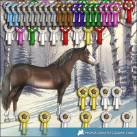 Horse Color:Liver Chestnut Mushroom