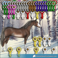 Horse Color:Liver Chestnut Mushroom 