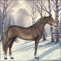 Horse Color:Liver Chestnut Mushroom Sabino 