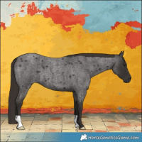 Horse Color:Liver Red Roan 