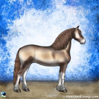 Horse Color:Liver Red Onyx Rabicano 