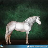Horse Color:Gray Chocolate Palomino Rabicano