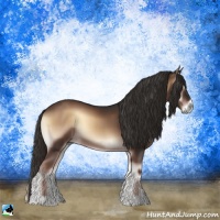 Horse Color:Liver Red Onyx 