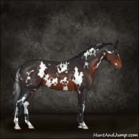 Horse Color:White Spotted Brown 
