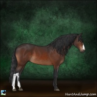 Horse Color:Brown 