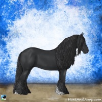 Horse Color:Black Tobiano Rabicano