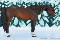 Horse Color:Buckskin Tobiano 