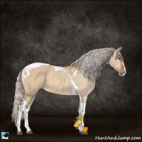 Horse Color:Silver Bay Dun Sabino Tobiano