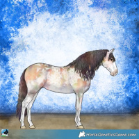 Horse Color:Nacre Buckskin Ice Onyx Sabino