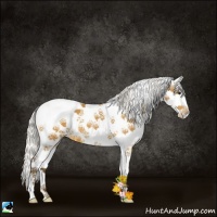 Horse Color:Silver Buckskin Sabino Splash 
