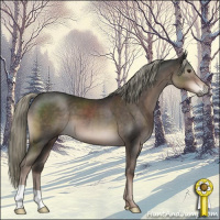 Horse Color:Liver Chestnut Mushroom 