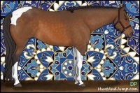 Horse Color:Buckskin Tobiano 