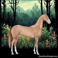 Horse Color:Gold Champagne Splash 