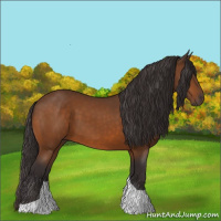 Horse Color:Buckskin Tobiano